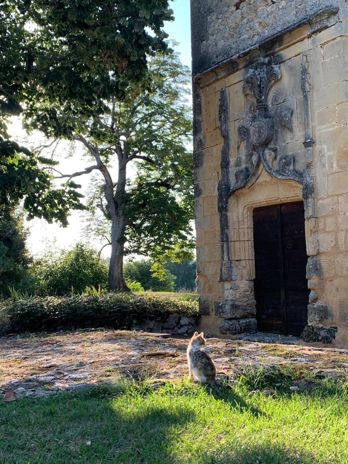 Chateau De Monsac Ngoại thất bức ảnh